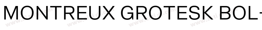 Montreux Grotesk Bol字体转换 Montreux Grotesk Bol字体转换